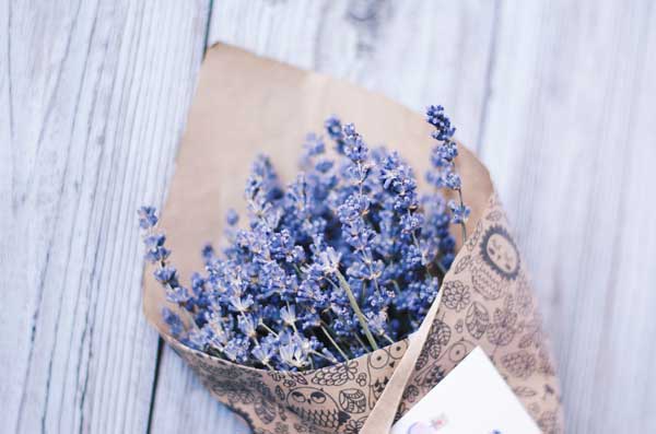 اسطوخودوس برای سلامتی