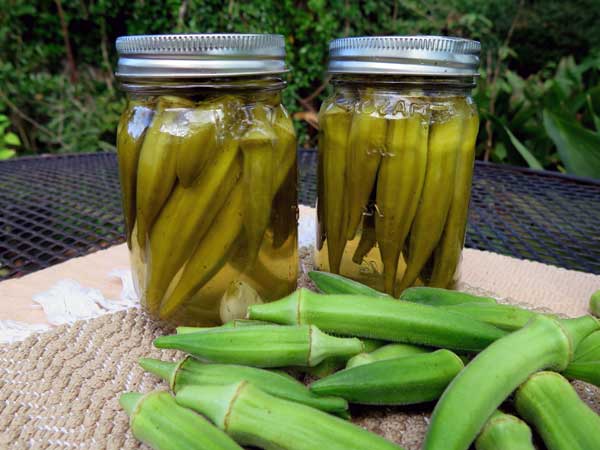 روش درست کردن ترشی بامیه