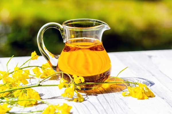 روغن کانولا
