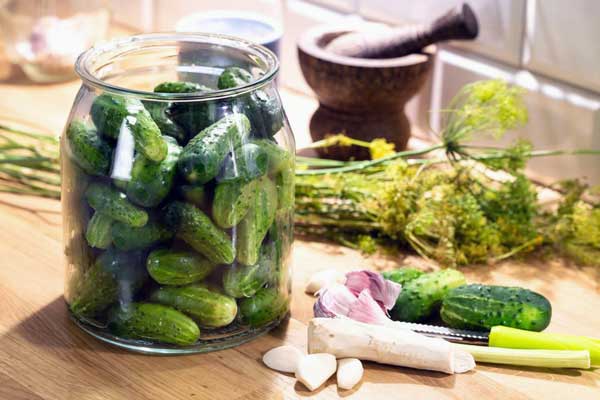 طرز تهیه خیار شور