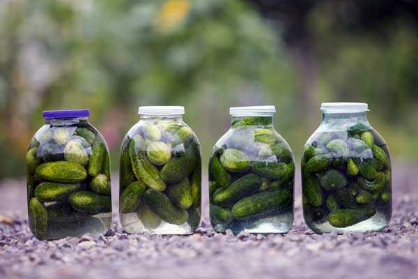 طرز تهیه خیار شور