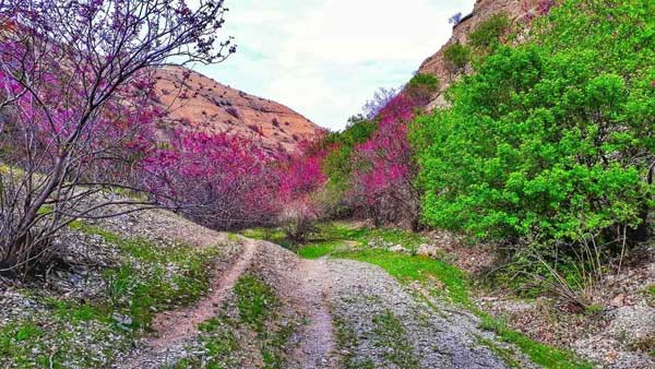 طبیعت اطراف مشهد
